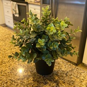 IKEA plant decor